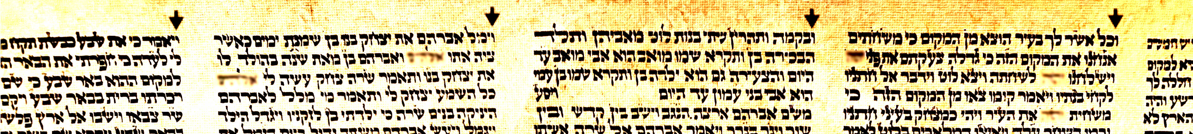 ווי העמודים